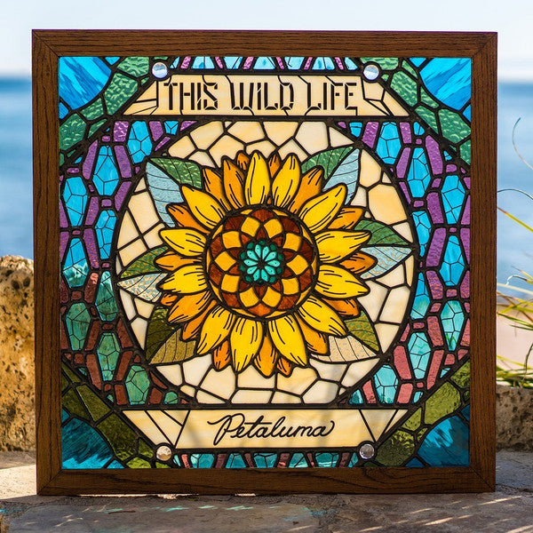 This Wild Life : Petaluma (CD, Album)