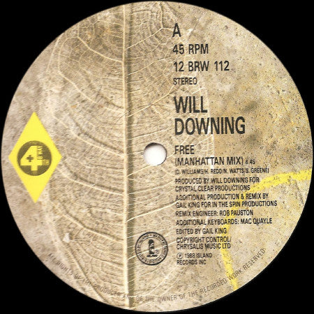 Will Downing : Free (12")