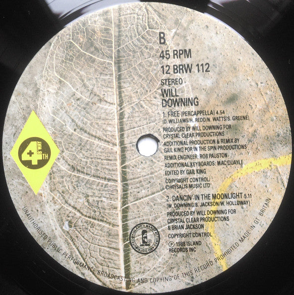 Will Downing : Free (12")
