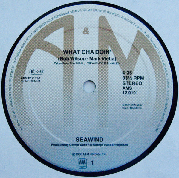 Seawind : Whatcha Doin' (12", Maxi)