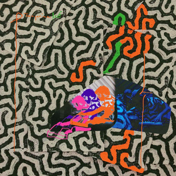 Animal Collective : Tangerine Reef (CD, Album)