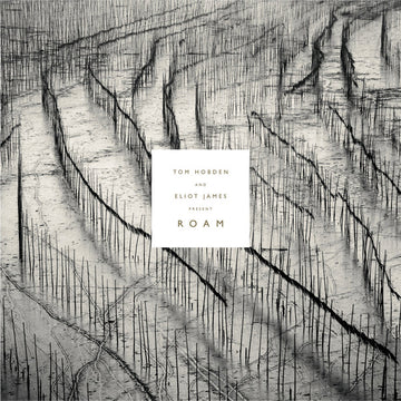 Tom Hobden And Eliot James : Roam (CD, Album)