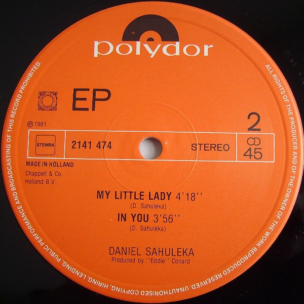 Daniel Sahuleka : Ev'rybody Feel The Groove (Special Long Disco Version) (12", EP, Maxi)