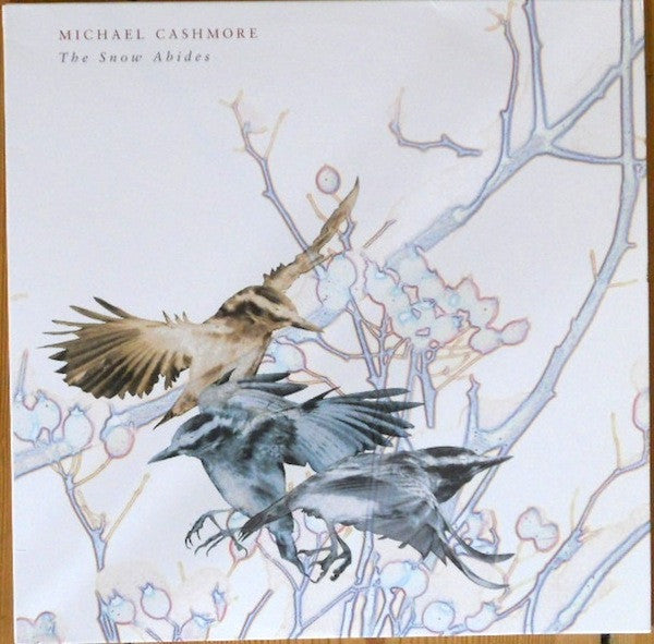 Michael Cashmore : The Snow Abides (LP, MiniAlbum, Whi)