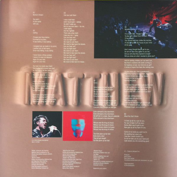 Matthew Dear : Bunny (2xLP, Album, Ltd, Rai)