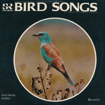 No Artist : The Peterson Field Guide To The Bird Songs Of Britain And Europe: Record 6 (LP, RE)