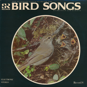 No Artist : The Peterson Field Guide To The Bird Songs Of Britain And Europe, Record 8 (LP, RE)