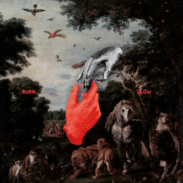 Chris Liebing : Burn Slow (2xLP, Album, Ltd, Gat)