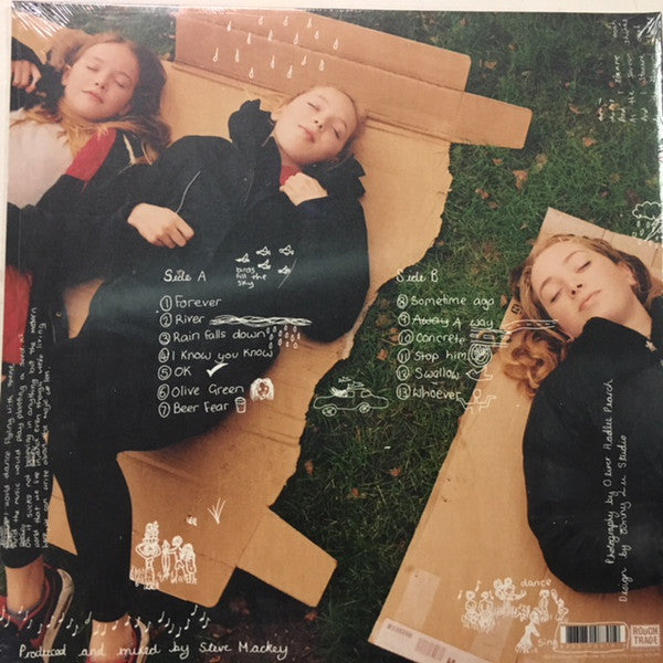 Honey Hahs : Dear Someone, Happy Something (LP, Album)