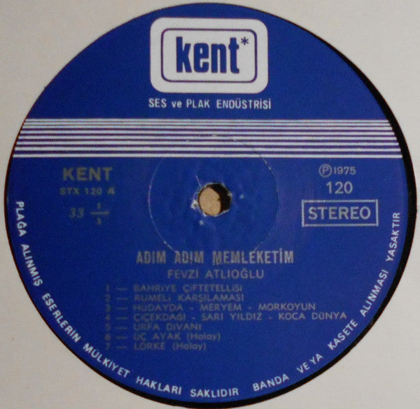Fevzi Atlıoğlu : Adım Adım Memleketim (Folklorumuzdan Seçme Oyun Havaları) (LP, Album)