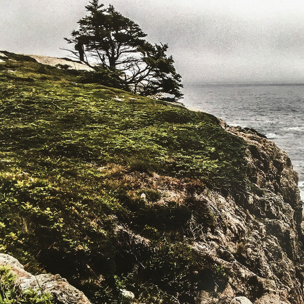 Thisquietarmy : The Body And The Earth (LP, Album, Blu)