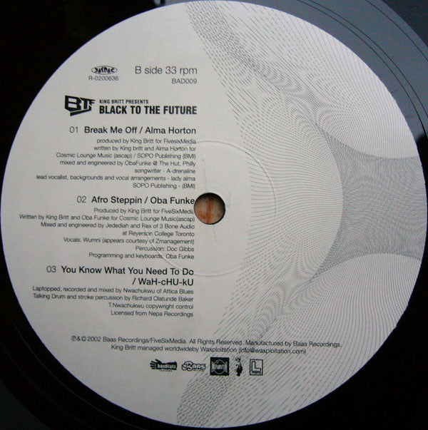 Various : King Britt Presents Black To The Future (12")