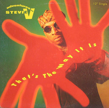 Adventures Of Stevie V. : That's The Way It Is (12")