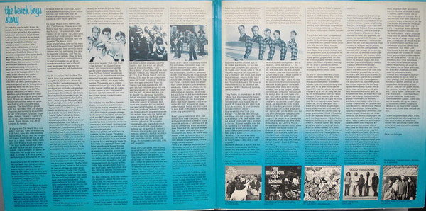 The Beach Boys : Beach Boys Bests (40 Greatest Hits) (2xLP, Comp, RE)