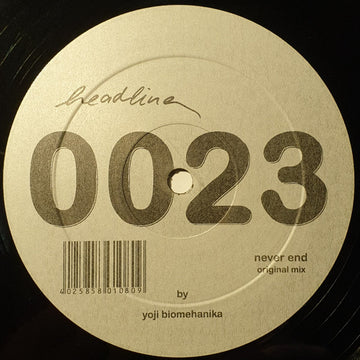 Yoji Biomehanika : Never End (12")