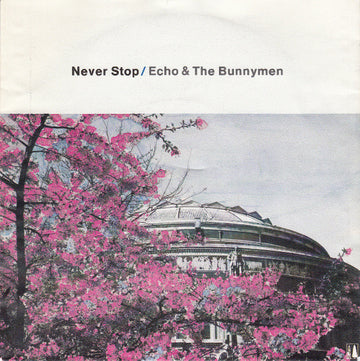 Echo & The Bunnymen : Never Stop (7", Single)