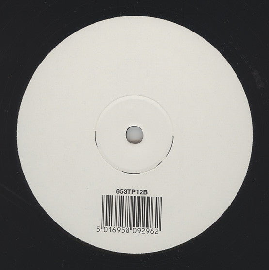 Björk : Wanderlust (12", W/Lbl, #B)