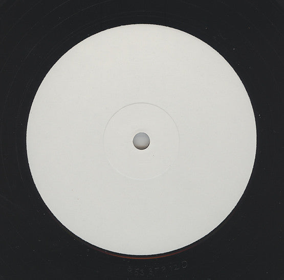 Björk : Wanderlust (12", W/Lbl, #B)