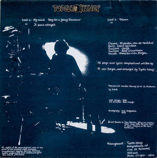 Tupelo Honey : Tupelo Honey (12", Album)