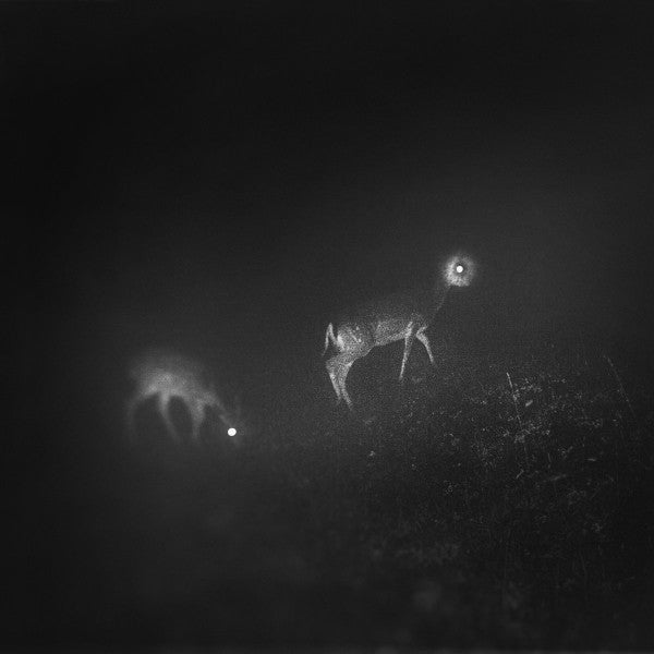 Bliss Signal : Bliss Signal (LP, Album)