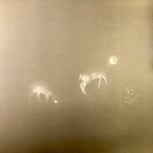 Bliss Signal : Bliss Signal (LP, Album)