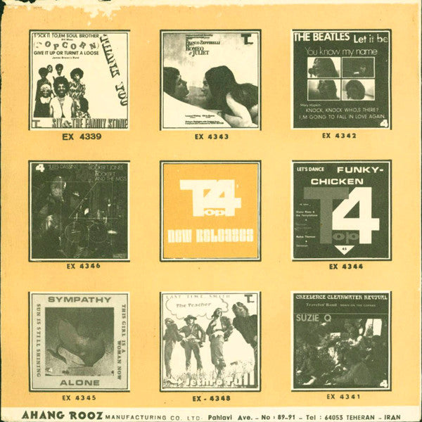 Cat Stevens : Lady D'Arbanville (7", Unofficial)