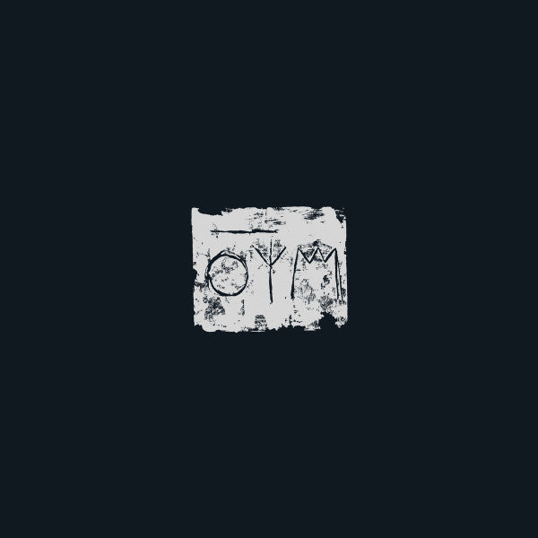 A Swarm Of The Sun : The Woods (LP, Album)
