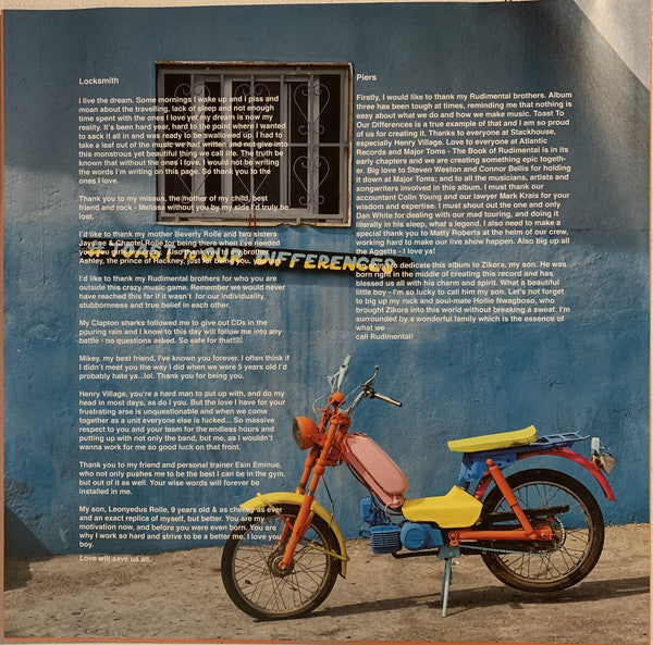 Rudimental : Toast To Our Differences (2xLP, Album)