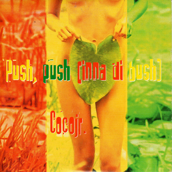 Coco Jr. : Push, Push (Inna Di Bush) (CD, Single)