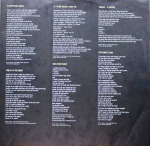 David Hasselhoff : Looking For Freedom (LP, Album)