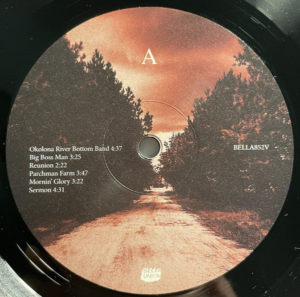 Mercury Rev : Bobbie Gentry's The Delta Sweete Revisited (LP, Ltd, 180)