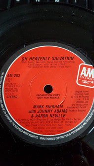 Lou Reed : September Song (7", Single, Promo, Pic)