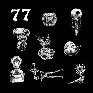 Hypnobirds : 77: A Brief Landing On The Earth's Surface (LP)