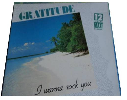 Gratitude (2) : I Wanna Rock You (12")