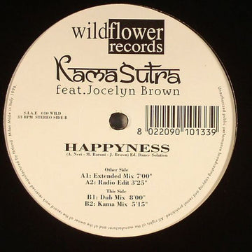 Kamasutra : Happyness (12")