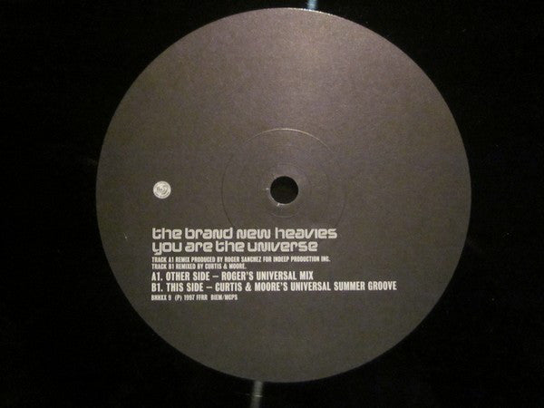 The Brand New Heavies : You Are The Universe (4x12")