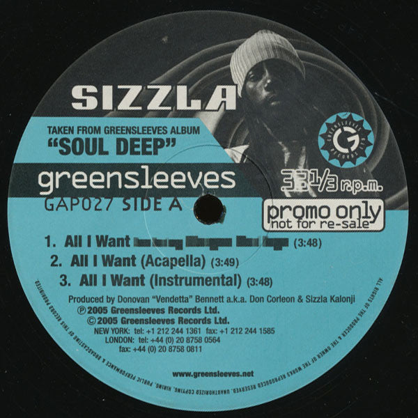 Sizzla : All I Want (12", Promo)