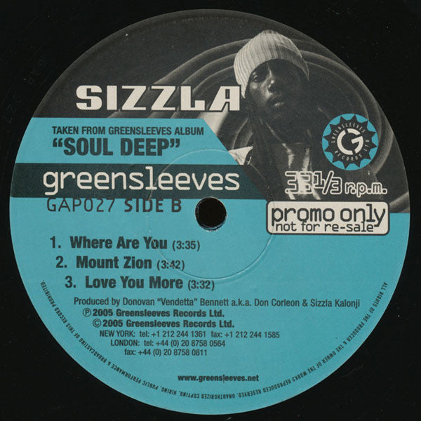 Sizzla : All I Want (12", Promo)