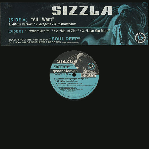 Sizzla : All I Want (12", Promo)