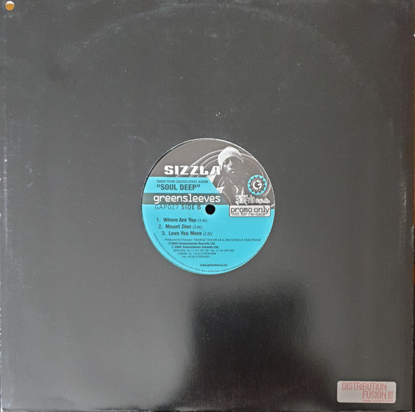 Sizzla : All I Want (12", Promo)