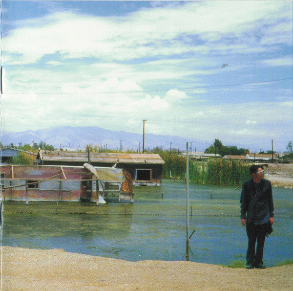 The Bicycle Thief : You Come And Go Like A Pop Song (CD, Album)