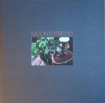 Moon Express Featuring Paul Arnold (8) & Tsvia & The Followers : Prophetic Spirit (LP, Album, RSD + 7", Bon)