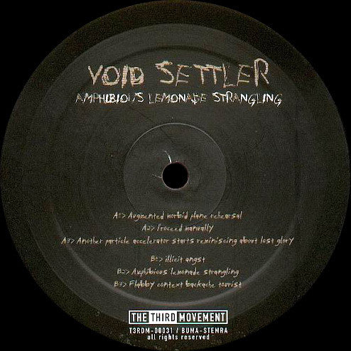 Void Settler / Labyrinth (2) : Amphibious Lemonade Strangling / Deceive The World To Rule The Planet (2x12", Album, P/Mixed)