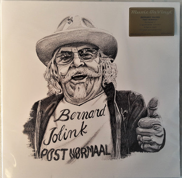 Bennie Jolink : Post Normaal (LP, Album)