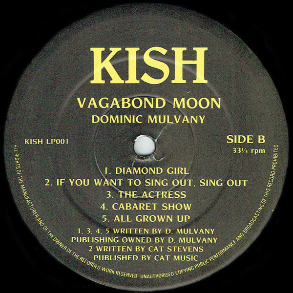 Dominic Mulvany : Vagabond Moon (LP, Album)