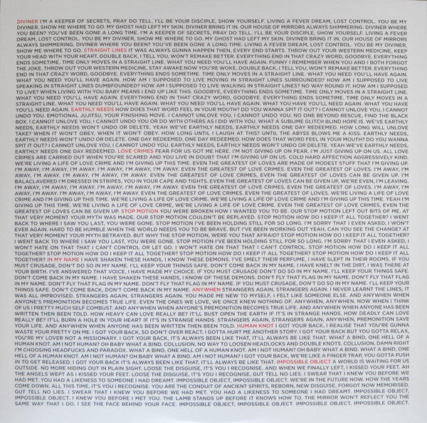 Hayden Thorpe : Diviner (LP, Album)