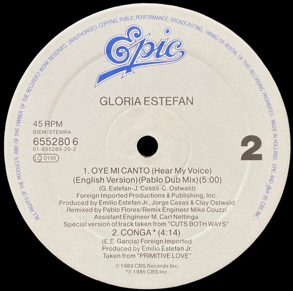 Gloria Estefan : Oye Mi Canto (Hear My Voice) (Special 12" Mixes) (12", Maxi)