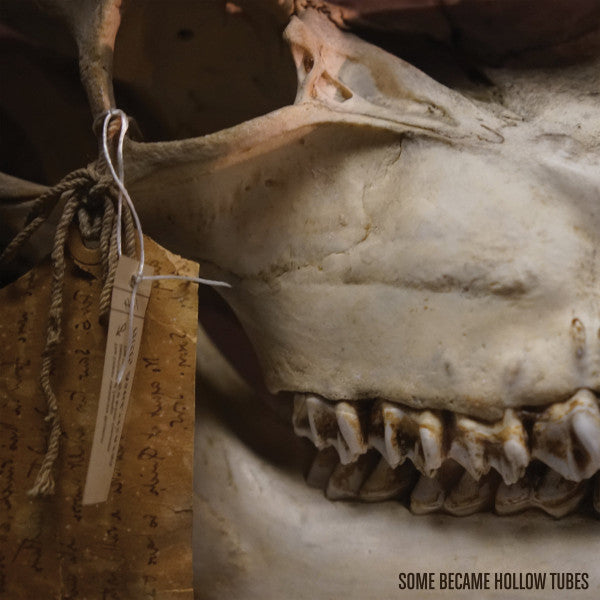 Some Became Hollow Tubes : Keep It In The Ground (LP, Album, Ltd)
