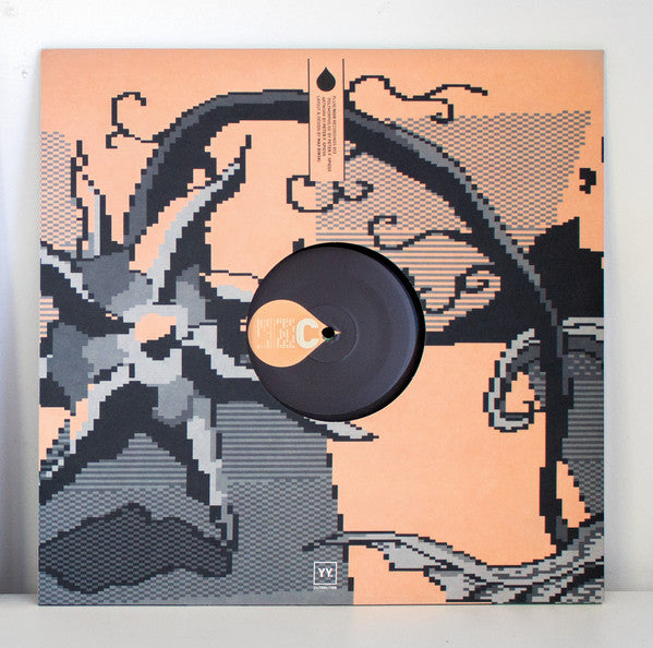 Peter F. Spiess : Polymorphs XX (2xLP, Album)