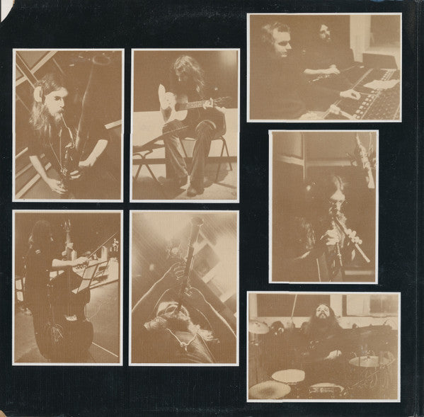 Roy Wood : Boulders (LP, Album, Ter)